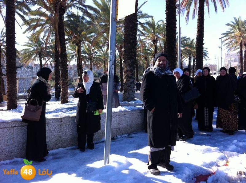 yaffa byareq (19).jpg